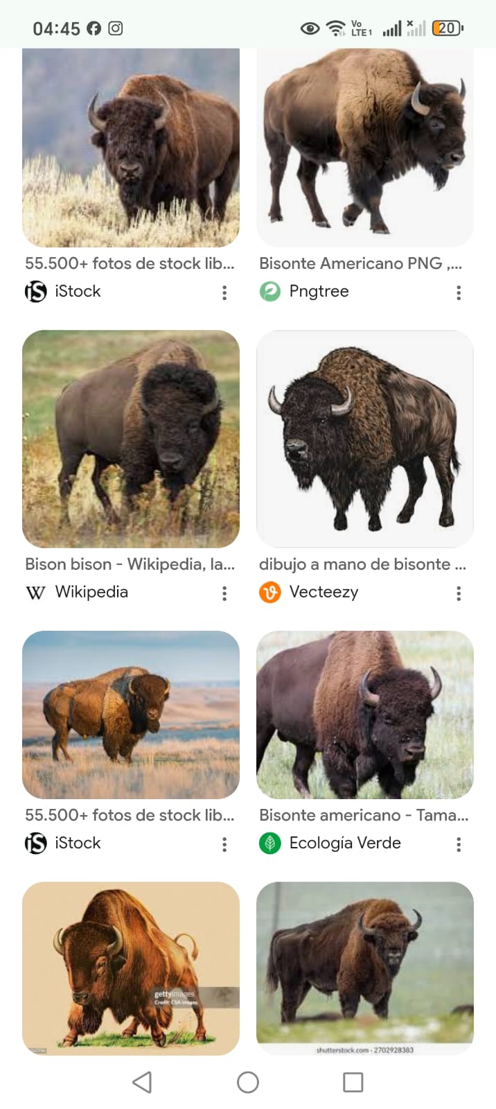 Silueta Bisonte 1
